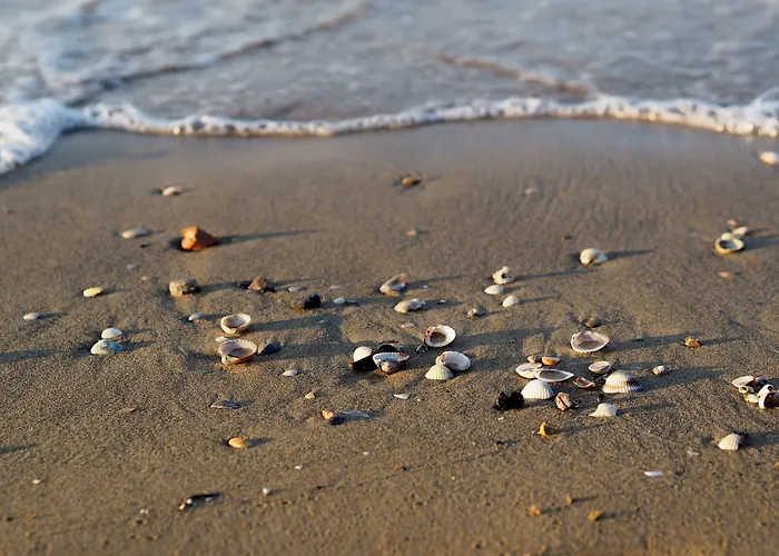 Appartamento Great With Balcony